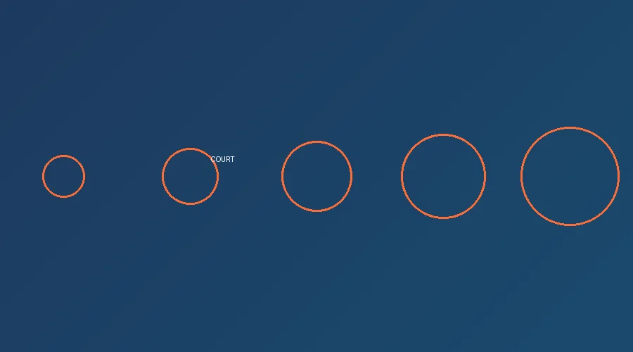 专业篮球场馆全景图