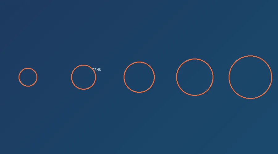 热情的足球球迷观赛场景